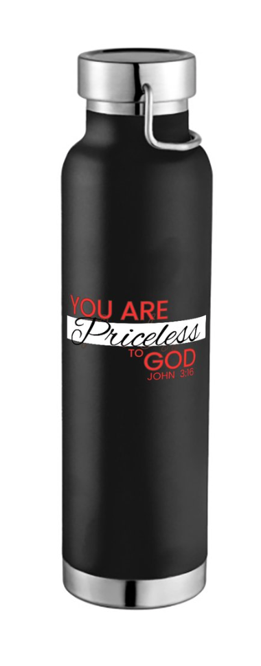 You Are Priceless Insulated Bottle